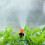 120 Pcs Micro-Spray Adjustable Flow Irrigation Drippers, Garden Adjustable Sprinkler Drip Irrigation Misting Drip Kit 1