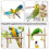 1Set Parkiet Decoratie Met Loopladder En Kauwspeelgoed 3