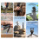 AMAGISN Quick-Release  Tripod One-Touch Auto Open 1.5kg Load Ultra-Light for    Camera Accessories 10