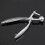 Silver Aluminum  Pitter Red Dates Olives Pit Easy Removal Core Squeeze Clamp Seeder 18*3.5cm(Silver) 3