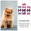 10St Huisdier Haarstrik Met Elastiek Polyester Leuk Hond Kat 5