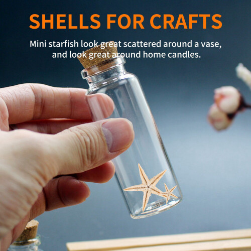 Small Starfish Star Sea Shell Beach  0.4 Inch-1.2 Inch 180 Pcs 1
