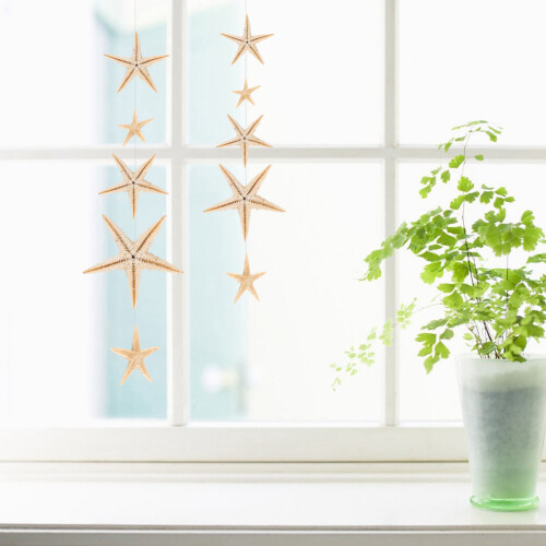 Small Starfish Star Sea Shell Beach  0.4 Inch-1.2 Inch 180 Pcs 2