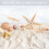 Small Starfish Star Sea Shell Beach  0.4 Inch-1.2 Inch 180 Pcs 4