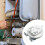 Pressostats pour chauffe-eau, pressostats à vent, accessoires de 6