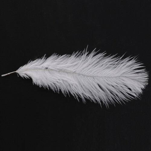 30 Pieces White Natural Ostrich Feather 20-25cm Wedding DIY 2