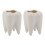 2X Tooth Shape White Ceramic Flower Pot Modern Design Planter Teeth Model  Desktop Pot  Gift(Without Plants) 1