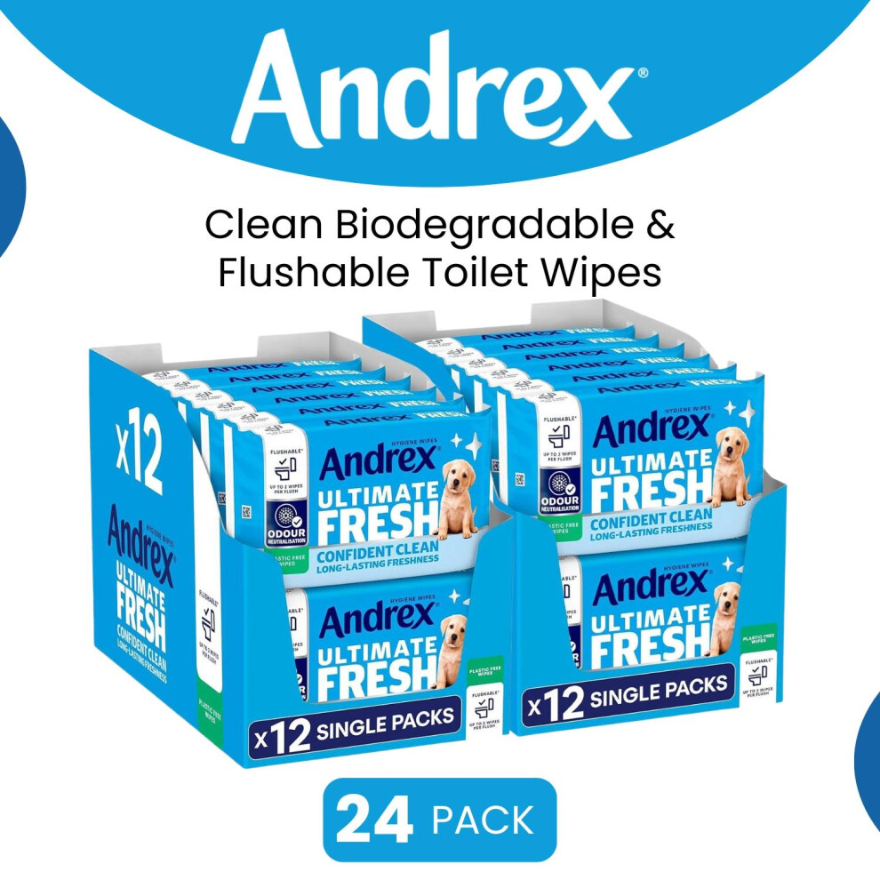 Andrex Washlets Confident Clean Biodegradable & Flushable Toilet Wipes, 24 Pack