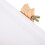 2Sets Compacte DIY Schildersteunen Met Kleine Canvasdoeken 5