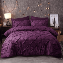 (Double, Plum) Luxury Pintuck Duvet Bedding Set with Pillowcases