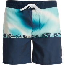 (32, Dark Navy Thermo Stripe) Quiksilver Mens Everyday 16" Swim Shorts