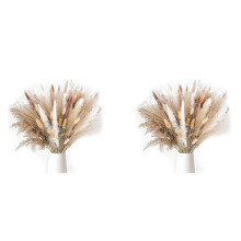 170 Pcs Pampas Grass Decorative Vase Home Design Arrangements, Dried Natural Pampas Grass Plants Fluffy Dried Flowers
