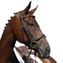 (Pony, Black) Collegiate Syntovia+ Padded Raised Flash Bridle