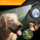 50KG Large Dog Lead Leash Strong Retractable Extendable Lockables Tape 8M 10