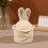 Silicone Craft Mold Rabbits Ear Shape Box Molds for-build 8