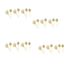 40 Pcs Boho Dried  Spears Natural Dried  Fans Dried  Leaves Dried  Leaf  Fan Leaf with Stem