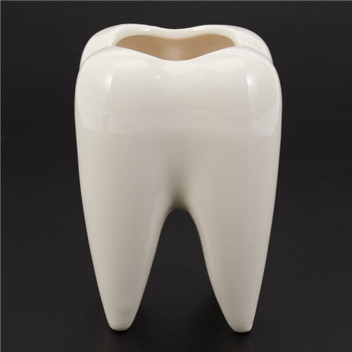 5X Tooth Shape White Ceramic Flower Pot Modern Design Planter Teeth Model  Desktop Pot  Gift(Without Plants) 2