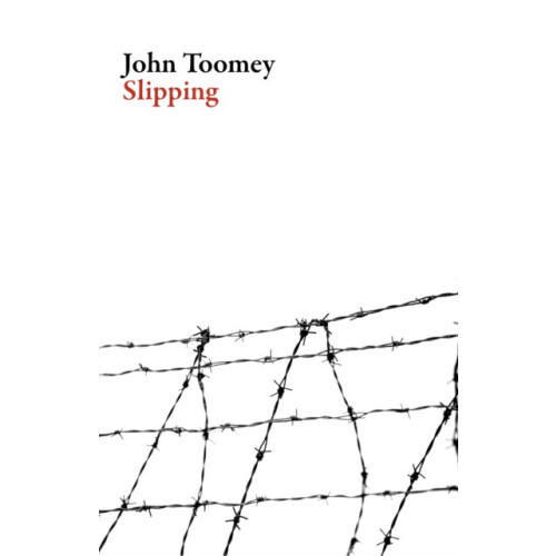 Slipping by John Toomey Paperback Book