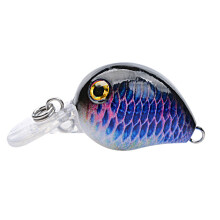 (8) Realistic Plastic Fishing Bait for Salt & Freshwater