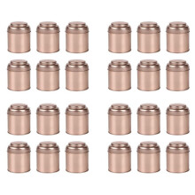 24-Teilige Teedosen mit Luftdichten Doppeldeckeln, -Blechdosenbox und Kleinen Runden Küchenkanistern für Tee (Roségold)