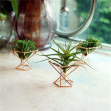 Pack 20 Air Plant Holder Air Plants Holders Tillandsias Display Air Purifying Plant Container Air Fern Stand, Rose Gold