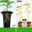 20Pcs Plastic Deep Plant Nursery Pots, Thick Stable Tall Tree Pots, Reusable Tall Seedling Plant Container Pots, Deep 2