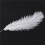 80 Pieces White Natural Ostrich Feather 20-25cm Wedding DIY 4