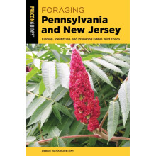 Foraging Pennsylvania and New Jersey by Debbie NahaKoretzky Paperback
