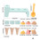 Les kits colorés de construction de-Ensemble de 14 pièces 5