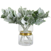 50 Pcs Kunstmatige Stroomden Lammeren Oor Bladeren Dusty Miller Stengels Stroomden Eiken Bladeren Lam Oor Blad voor Thuis Bruiloft