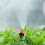 180 Pcs Micro-Spray Adjustable Flow Irrigation Drippers, Garden Adjustable Sprinkler Drip Irrigation Misting Drip Kit 5