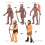 Simulation Human Evolution Models Primitive Figurine Growth Cycle Human Action Figures Educational Toys for Children 2