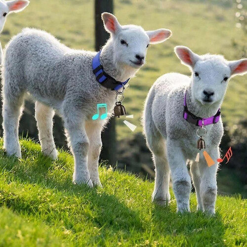Confezione da 5 collari regolabili per bestiame con campanelli per capre, pecore e bovini 2