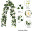 2X Eucalyptus Garland and Flower Hanging Artificial Eucalyptus Leaf Greenery for Wedding Backdrop Arch 5