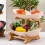 Fruit Tray Racks Table Plates Dinnerware Kitchen Fruit Bowl Partitioned Candy Cake Trays Tableware Dishes B 7