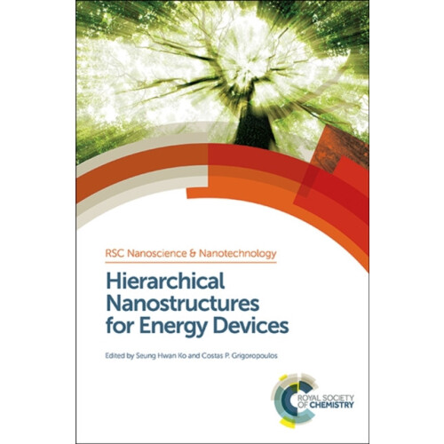 Hierarchical Nanostructures for Energy Devices Hardcover Book