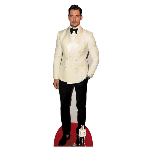 Silhouette en carton de célébrité / Présentoir / Standee