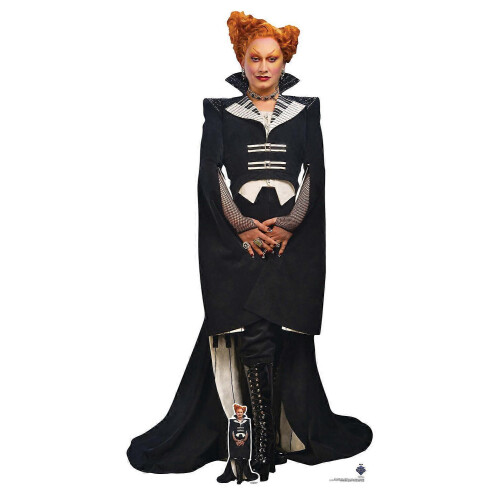 Maestro Lifesize Cardboard Cutout Standee Standup