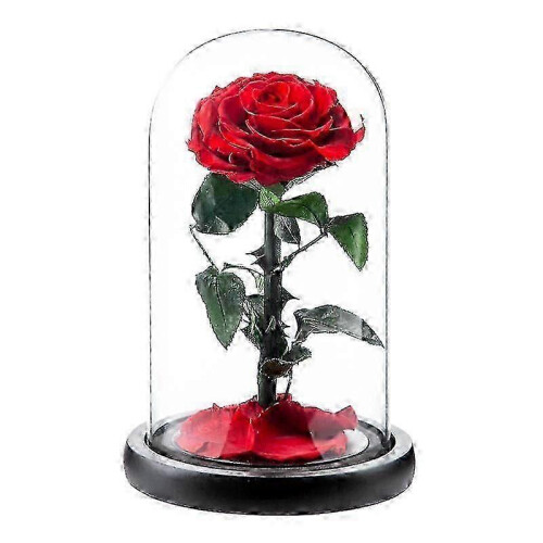 Geschenkidee mit konservierter Rose für Mama, Muttertagsgeschenk