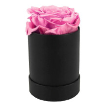 2025 Preserved Roses | Real Roses Lasting Years | Boxed Roses for Delivery
