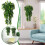 1PC Artificial Rattan Fake Flowers Small Plastic One Size 1