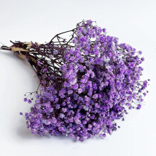 Preserved Baby's Breath 3 Bunches, Natural Gypsophila for Vase Decor, Home Styling, Photo Props, Weddings, DIY – Light Purple