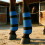 Schokabsorberende paardenbeenbeschermers-Roze 8