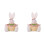 2X Easter Candy Dish, Bunny Basket, Storage Box for Table Decor 1