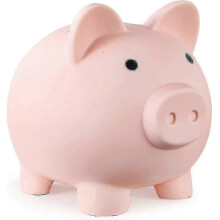 Unbreakable Plastic Piggy Bank for Kids, Coin Savings Bank for Girls and Boys (1pc, Pink)