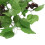 12x Artificial Grape Vine Garland Fruit for Home Garden Decoration 7