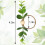 12Pcs Eucalyptus Napkin Rings for Dining Table Decor 2