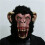 Mannelijke getande gorilla latex masker 1