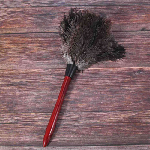 6X Ostrich Cleaning Feather Duster Ostrich Duster Ostrich Feather Duster Soft Feathers Duster 2
