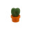 12 Pcs Cute Cactus Fridge Magnets for Home Office Personal Use 5